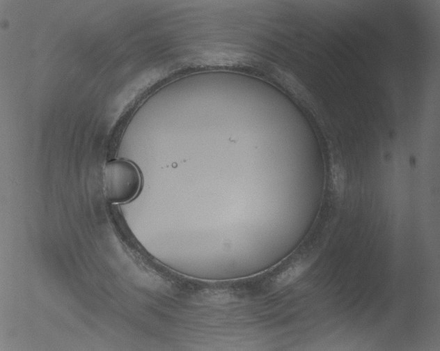 X0000052550534200507011133