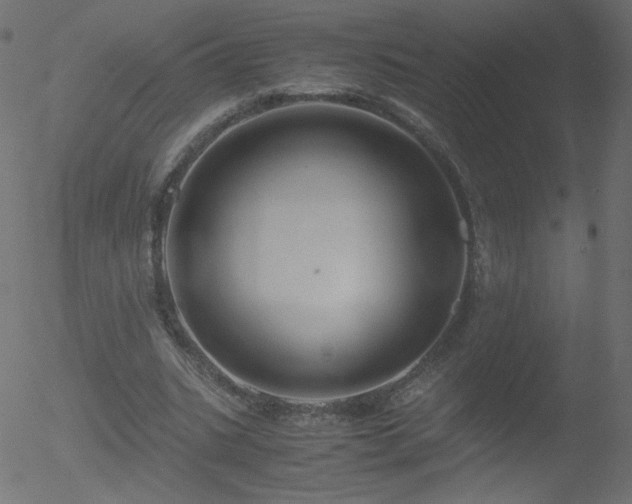 X0000052550535200507011133