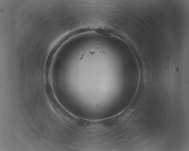 X0000052550536200507011133