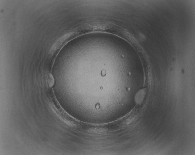 X0000052550537200507011133