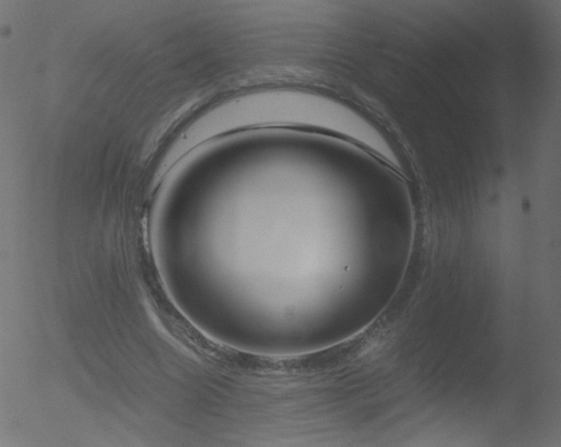 X0000052550538200507011133