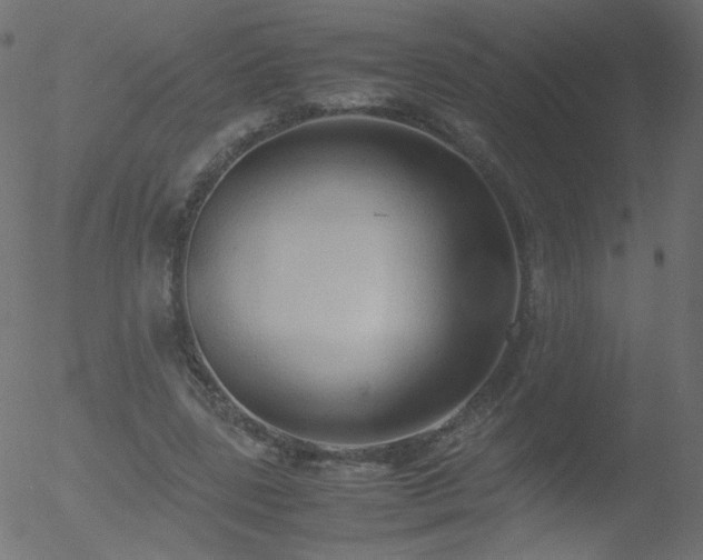 X0000052550539200507011133