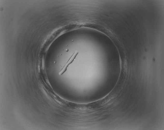 X0000052550540200507011133