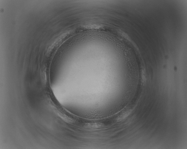 X0000052550541200507011133