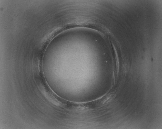 X0000052550542200507011133