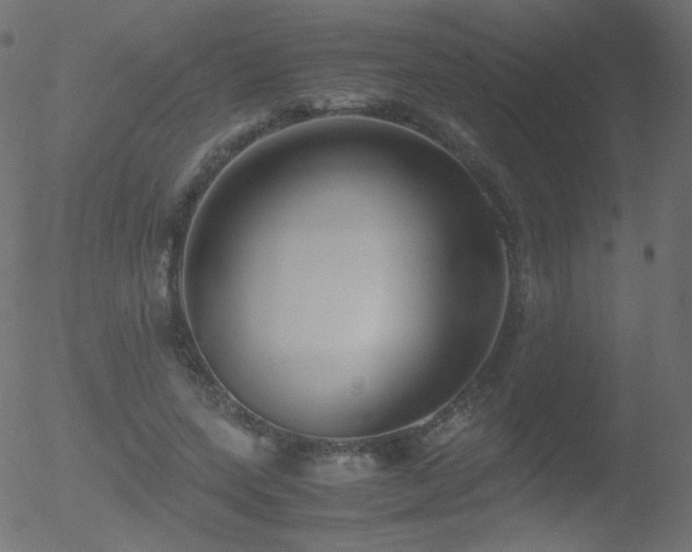 X0000052550543200507011133