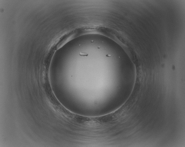 X0000052550544200507011133