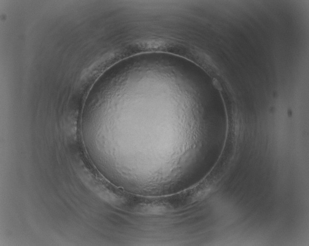 X0000052550545200507011133