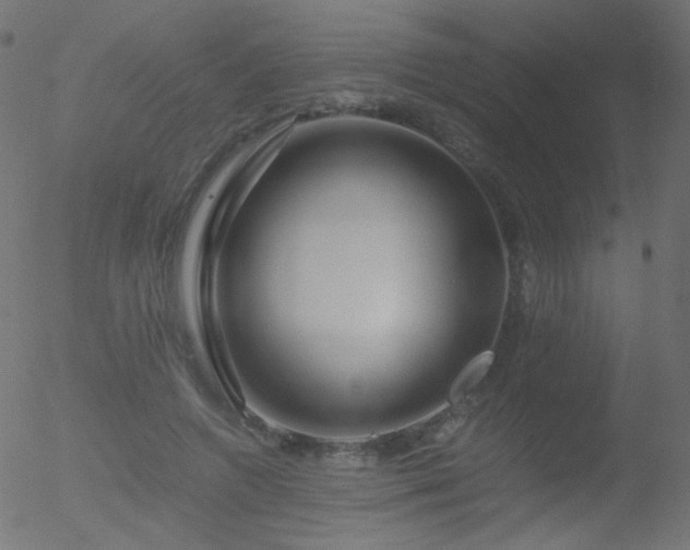 X0000052550546200507011133