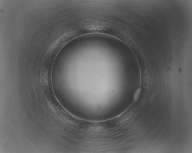 X0000052550547200507011133