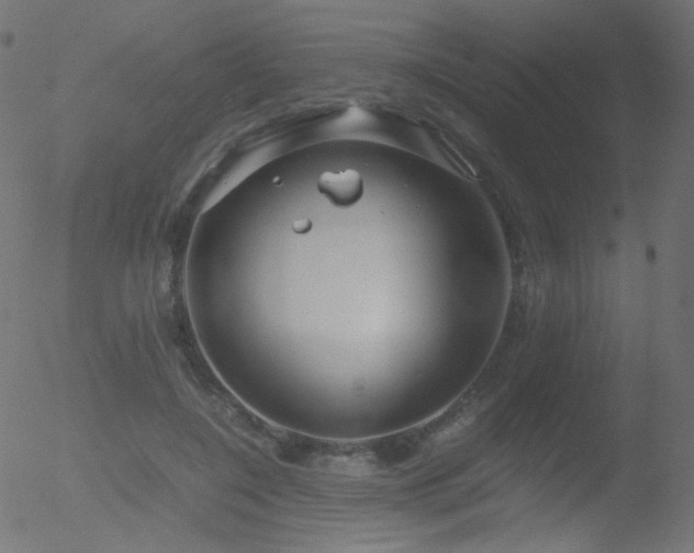 X0000052550548200507011133