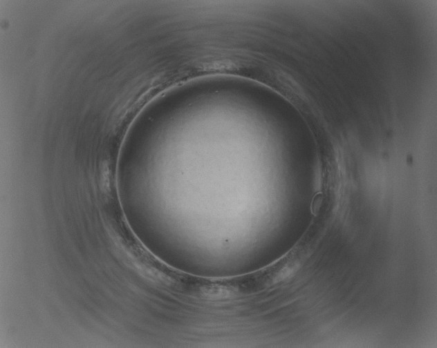 X0000052550549200507011133