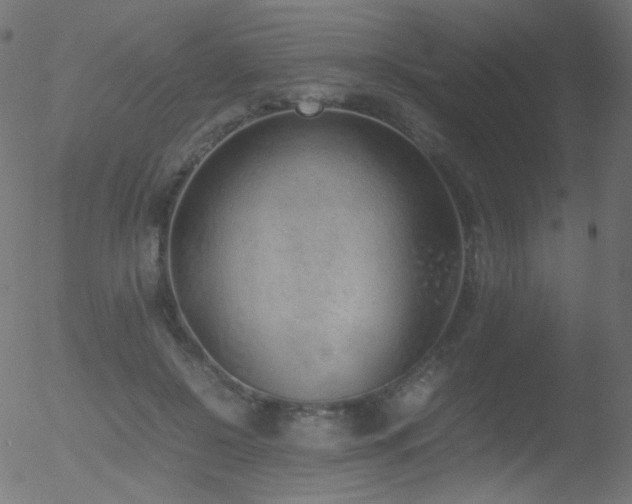 X0000052550550200507011133