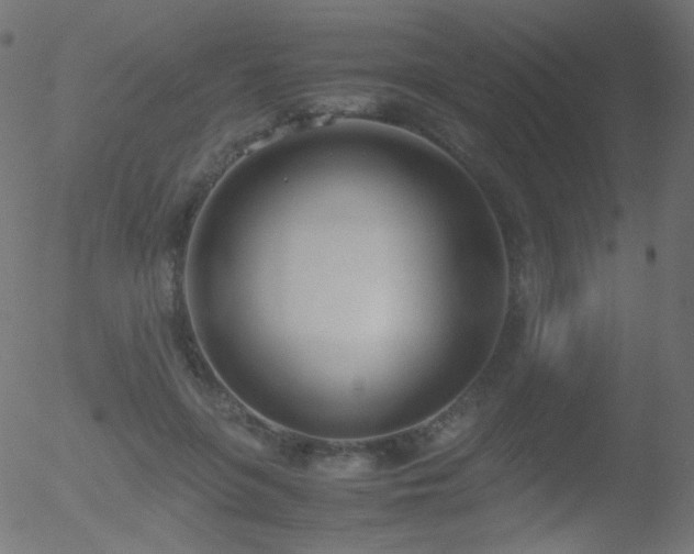 X0000052550551200507011133