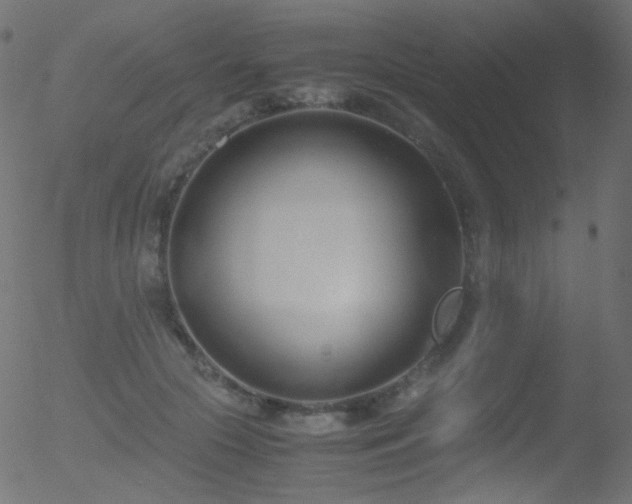 X0000052550553200507011133