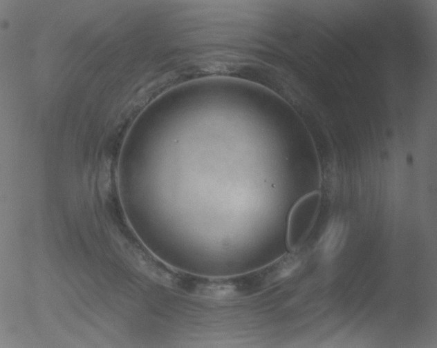 X0000052550554200507011133