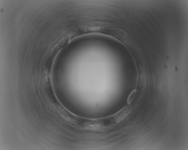 X0000052550555200507011133