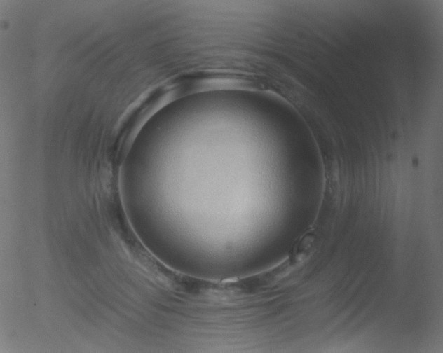 X0000052550556200507011133