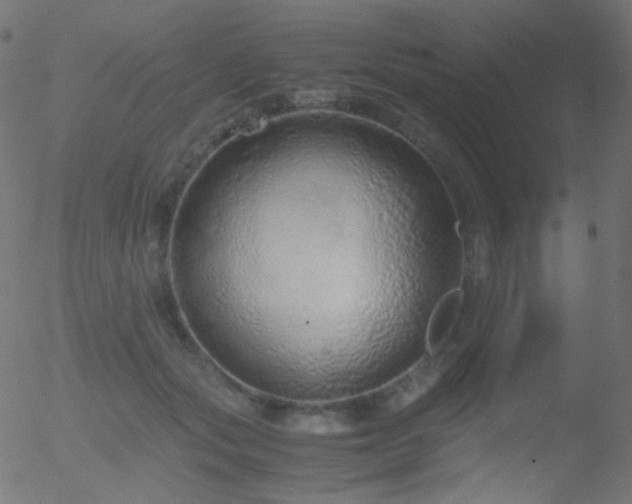 X0000052550557200507011133