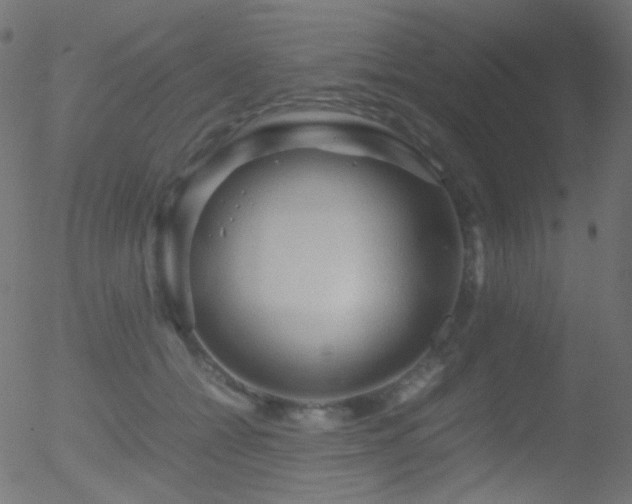 X0000052550558200507011133