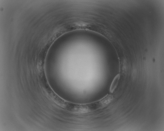 X0000052550559200507011133