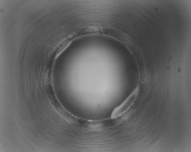 X0000052550560200507011133