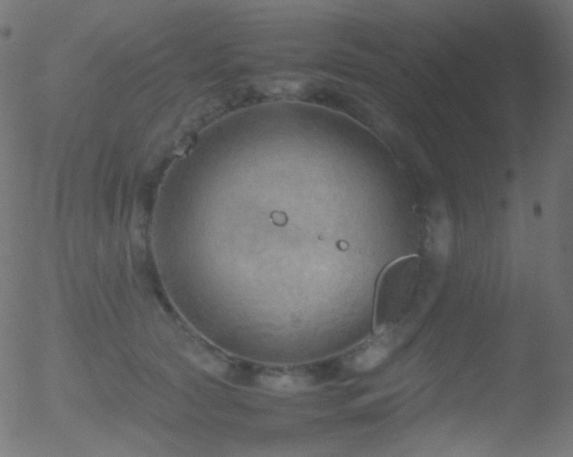 X0000052550561200507011133