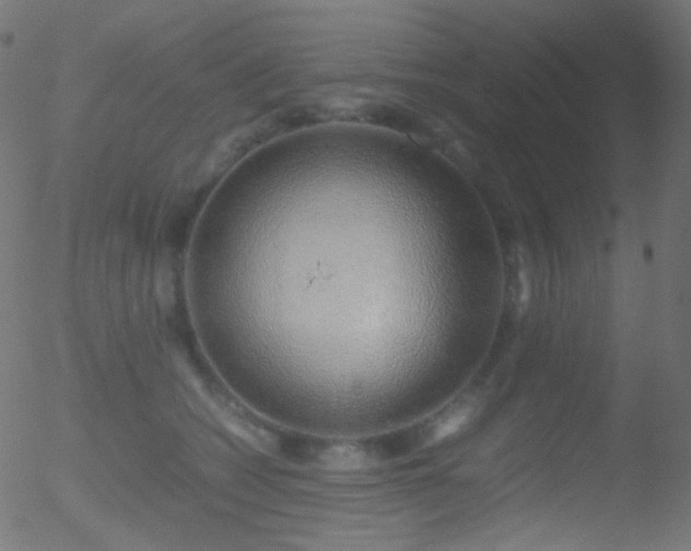 X0000052550562200507011133