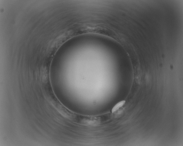 X0000052550563200507011133