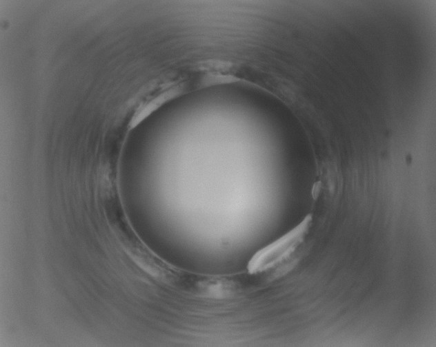 X0000052550564200507011133