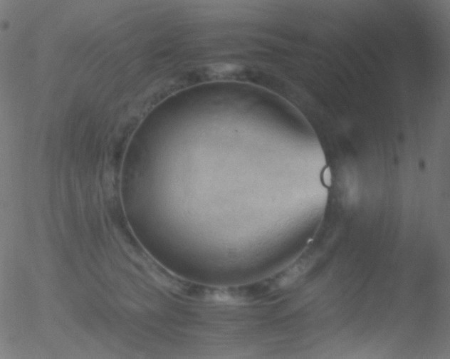 X0000052550565200507011133