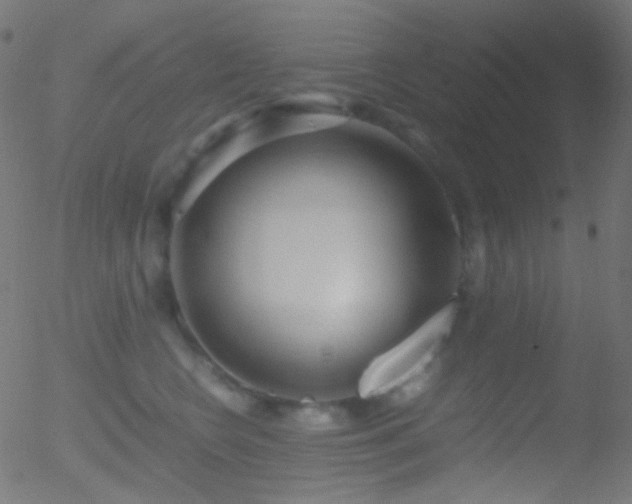 X0000052550566200507011133