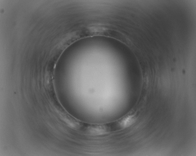 X0000052550567200507011133