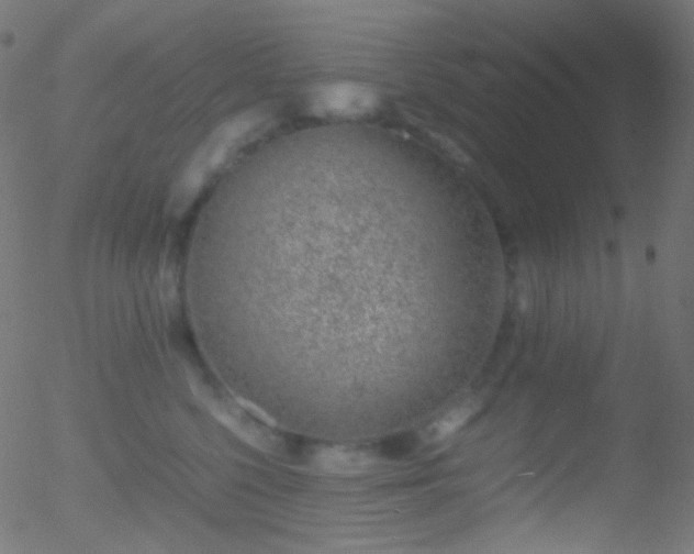 X0000052550568200507011133