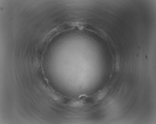 X0000052550569200507011133