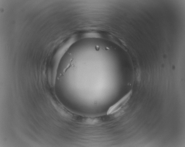 X0000052550570200507011133