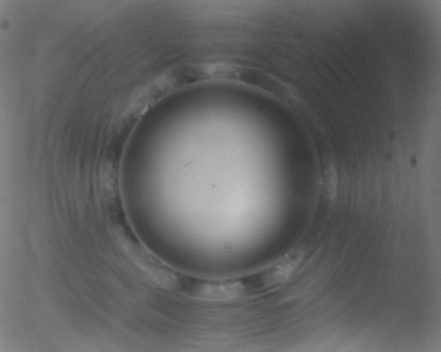 X0000052550571200507011133