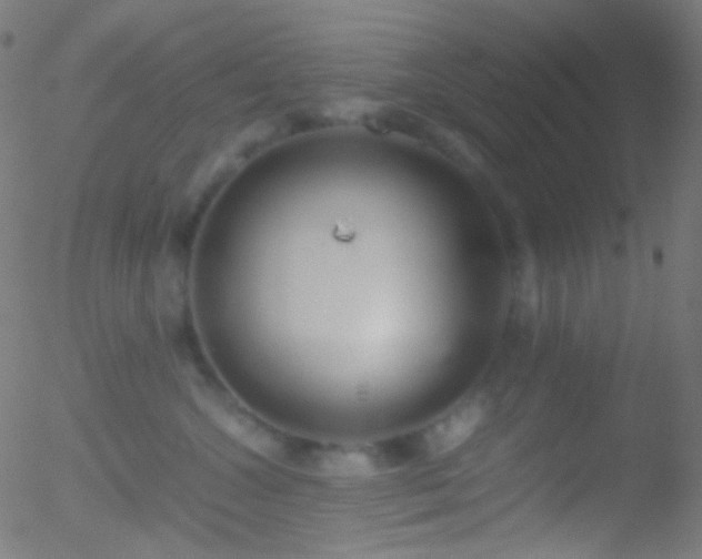 X0000052550572200507011133