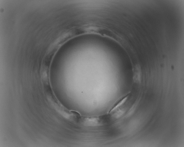 X0000052550573200507011133