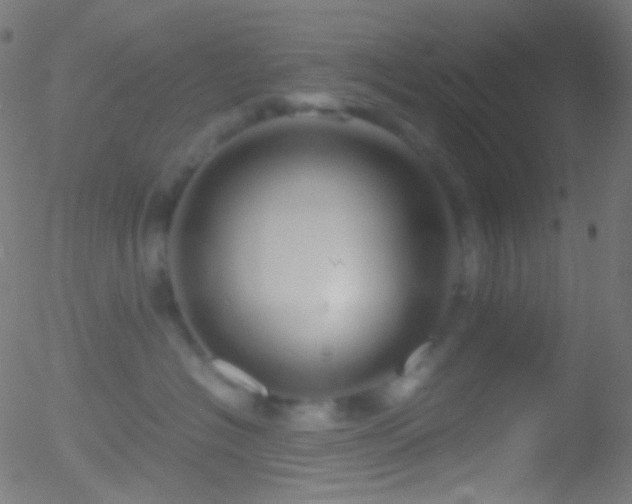 X0000052550574200507011133