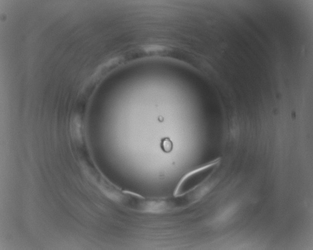 X0000052550575200507011133