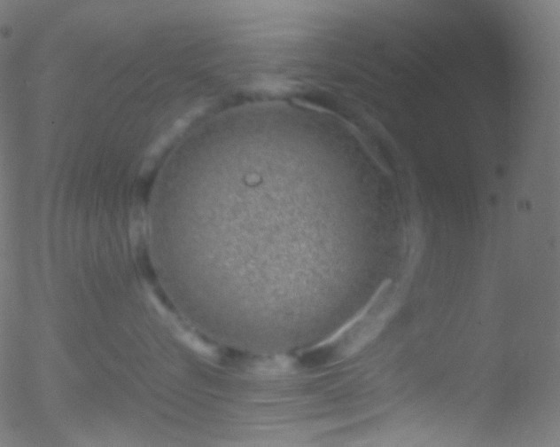 X0000052550576200507011133