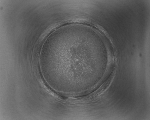 X0000052550577200507011133