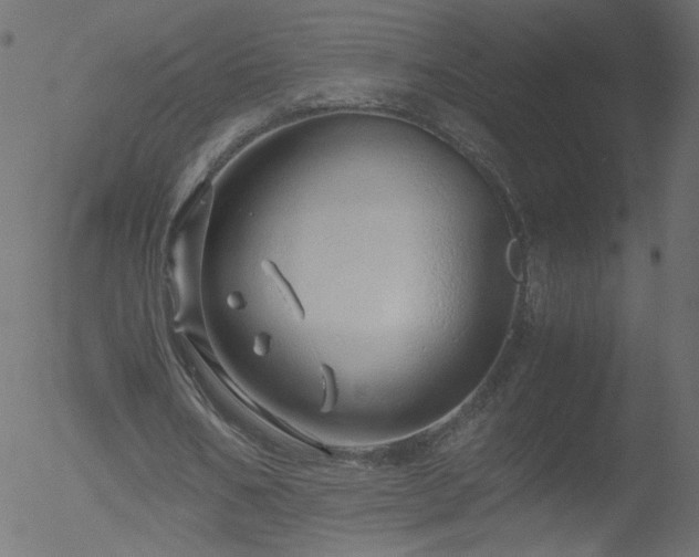 X0000052550578200507011132