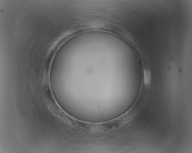 X0000052550579200507011132