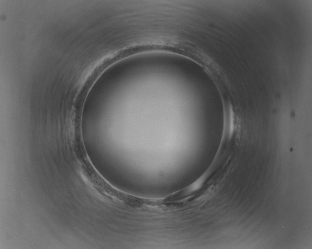 X0000052550580200507011132