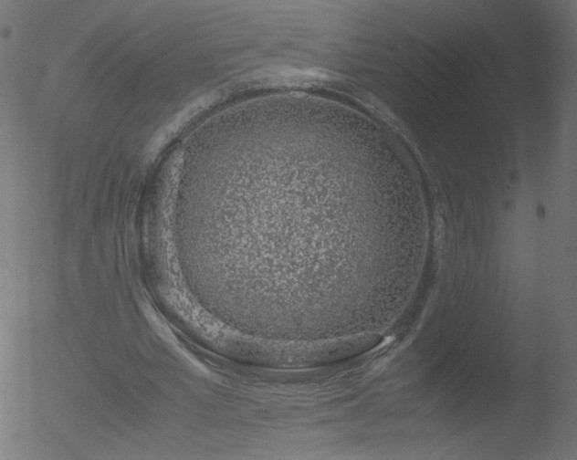 X0000052550581200507011132