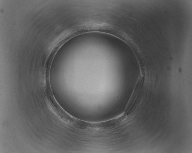 X0000052550582200507011132