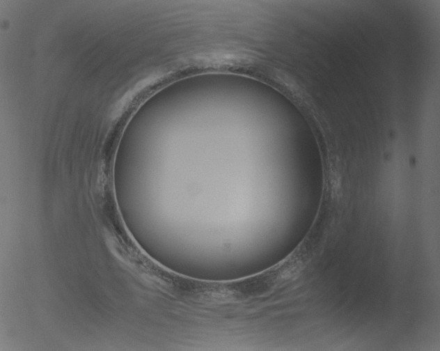 X0000052550583200507011132