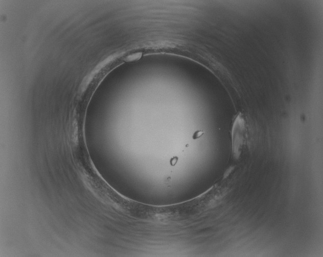 X0000052550584200507011132